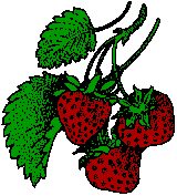 strawberry14.gif